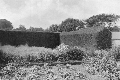 Box Hedges in Kitchen Garden (m/w kuva) tekijältä Charles Latham