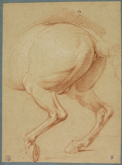 Hevosen takajalat tekijältä Charles Le Brun