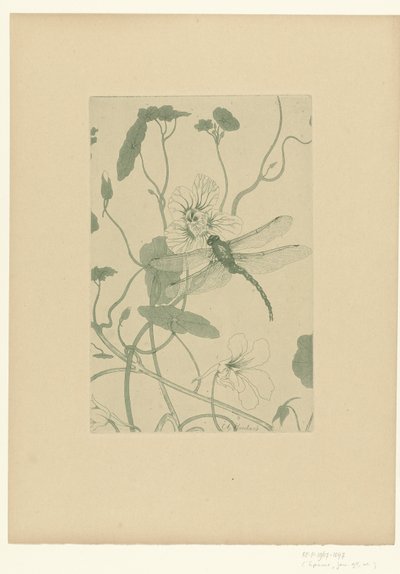 Sudenkorento nasturtium-kukassa Fleurs L