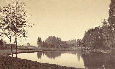 Bois de Boulogne tekijältä Charles Marville