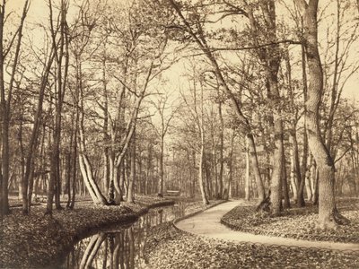 Bois de Boulogne, Pariisi tekijältä Charles Marville