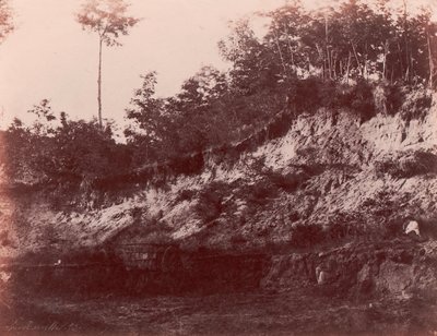 Louhos, 1850-53. tekijältä Charles Marville