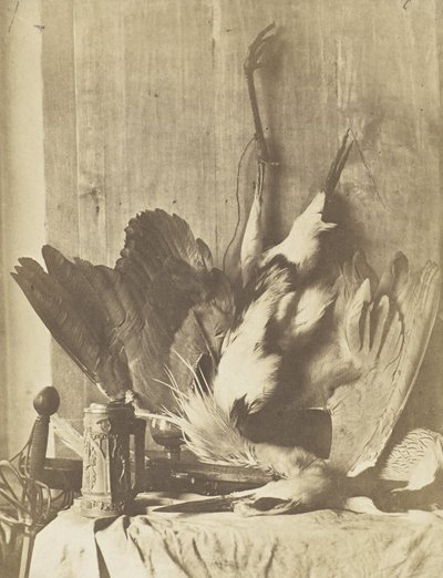 Pelin asetelma, n. 1853-1855 (albumeenipainotettu suolapaperiprintti) tekijältä Charles Marville