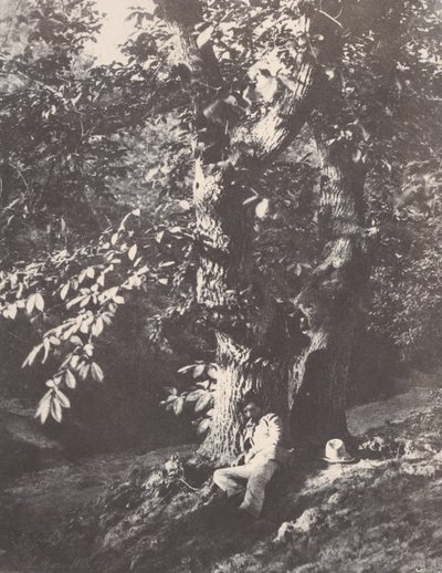 Mies makaamassa kastanjapuun juurella, 1850-53. tekijältä Charles Marville