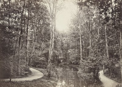 Deer Pond (Doe