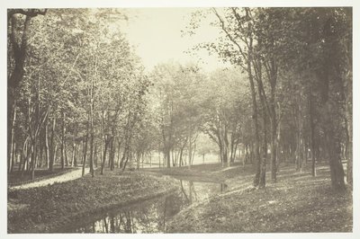 Sense títol, c. 1850. [Arbres prop de l