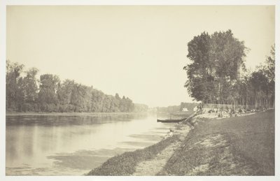 Nimetön, c. 1850. [Puita lähellä vettä Bois de Boulognessa, puistossa Pariisissa]. tekijältä Charles Marville