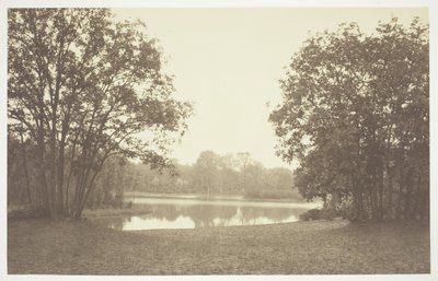 Nimetön, c. 1850. [Puita lähellä vettä Bois de Boulognessa, puistossa Pariisissa]. tekijältä Charles Marville