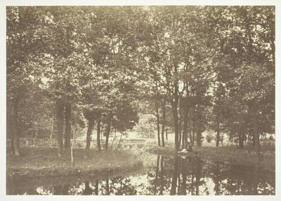 Nimetön, c. 1850. [Puita lähellä vettä Bois de Boulognessa, puistossa Pariisissa]. tekijältä Charles Marville