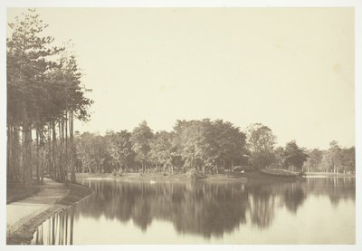 Nimetön, c. 1850. [Puita lähellä vettä Bois de Boulognessa, puistossa Pariisissa]. tekijältä Charles Marville