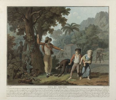 Pakeneva orja, levy 2 teoksesta Paul et Virginie (Paul et Virginie) tekijältä Charles Melchior Descourtis