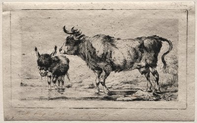 Lehmä ja aasi, 1849. tekijältä Charles Meryon