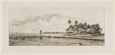 Oseania: Kalastus, Palmssaarten lähellä Uea tai Wallis Group, 1845 tekijältä Charles Meryon
