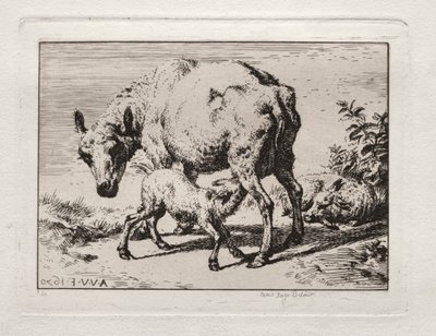 Uuhi ja kaksi karitsaa, 1850. tekijältä Charles Meryon