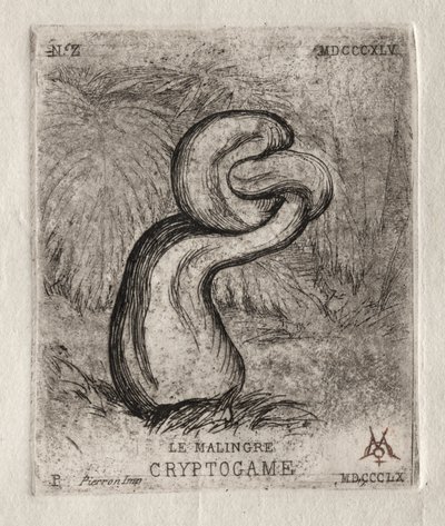 The Sickly Cryptogam, 1860. tekijältä Charles Meryon