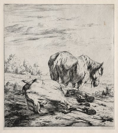 Kaksi hevosta, 1850. tekijältä Charles Meryon