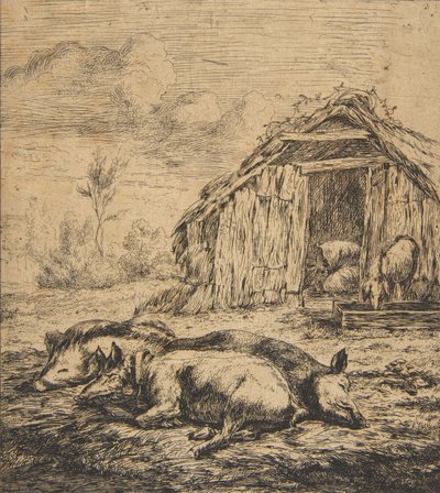 Kolme sikaa makaavat aidan edessä, 1850. tekijältä Charles Meryon