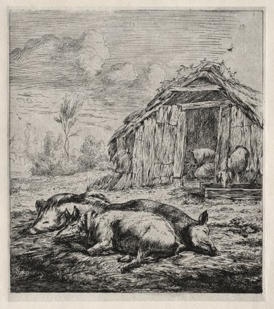 Kolme sikaa makaamassa mökin edessä, 1850. tekijältä Charles Meryon