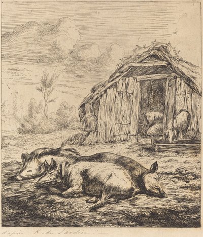 Kolme sikaa makaa tallin edessä (kolme sikaa makaavat tallin edessä) tekijältä Charles Meryon after Karel Dujardin
