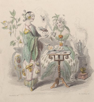 Tea & Coffee, Les Fleurs Animées, 1847. tekijältä Charles Michel Geoffroy