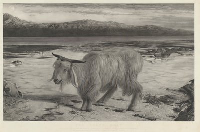 Pappipukki tekijältä Charles Mottram after William Holman Hunt