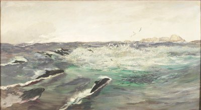 Pyöriäiset jahtaavat makrillia tekijältä Charles Napier Hemy