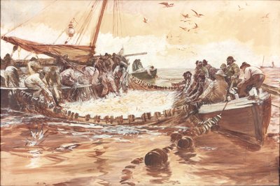 Tutkimus "Pilchards" (bc ja wc paperilla) tekijältä Charles Napier Hemy