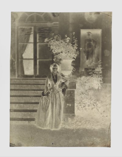 Naisen muotokuva, mahdollisesti Mme Ernest Feydeau tekijältä Charles Nègre