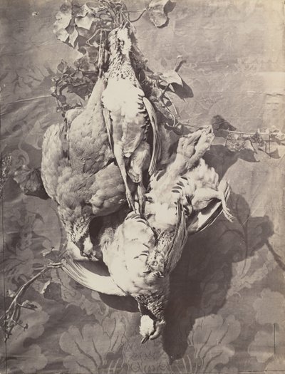 [Asetelma riistalintujen kanssa], 1859. tekijältä Charles Nègre