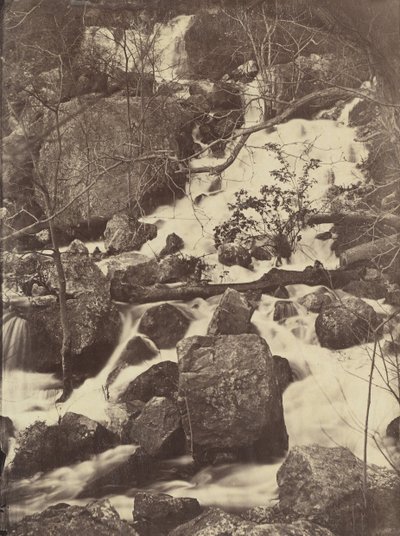 [Puut ja vesiputoukset], 1860-65. tekijältä Charles Nègre