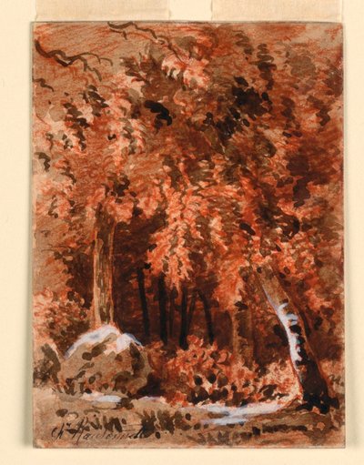 A Woodsfinnish tekijältä Charles Nicolas Ransonnette