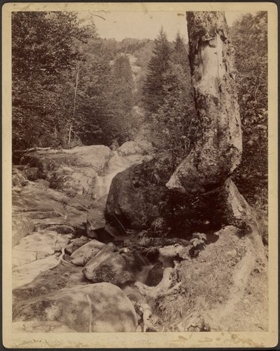 [Cascading Stream] tekijältä Charles P. Hibbard