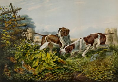 Amerikkalainen kenttäurheilu. "On a Point." tekijältä Charles Parsons