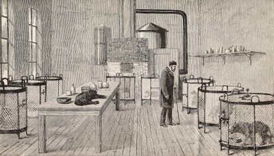 Koiria häkissä Louis Pasteurin (1822-1895), ranskalaisen kemistin ja biologin laboratoriossa, Pariisi, Ranska, kaiverrus L
