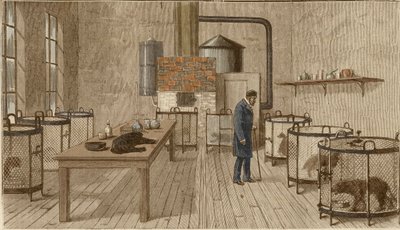Koirat häkeissä Louis Pasteurin laboratoriossa tekijältä Charles Paul Renouard