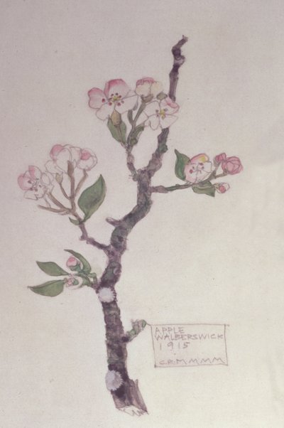 Huonekalut ja erilaiset esineet 1100- ja 1300-luvuilta tekijältä Charles Rennie Mackintosh
