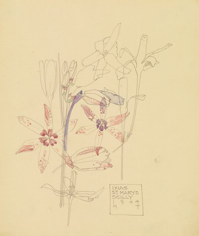 Ixias tekijältä Charles Rennie Mackintosh
