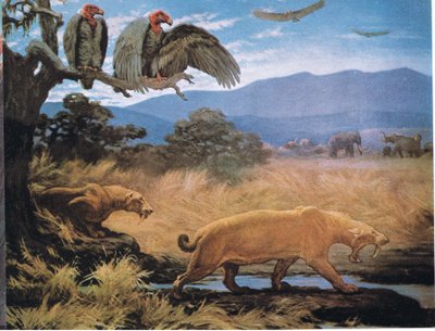 Sabre Tooth Cats tekijältä Charles Robert Knight