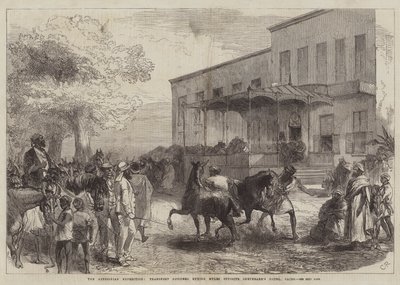 Abessinian retkikunta, kuljetusvirkailijat ostavat muuleja Shepheard
