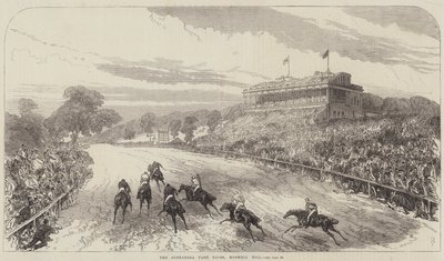 Alexandra Park Races, Muswell Hill tekijältä Sir John Charles Robinson
