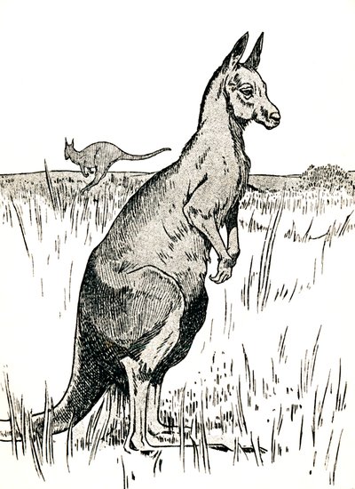 Kenguru, 1912 tekijältä Charles Robinson