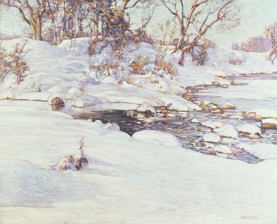 Talven auringonvalo tekijältä Charles Rosen