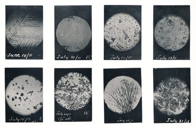 "Ice Crystals in Crevasse", kesä-heinäkuu 1911, 1913 tekijältä Charles S Wright