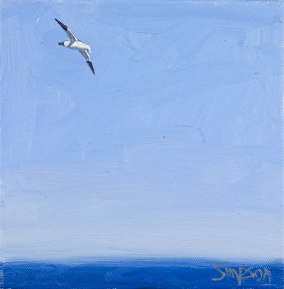 Gannet, 2010 (öljy kankaalle) tekijältä Charles Simpson