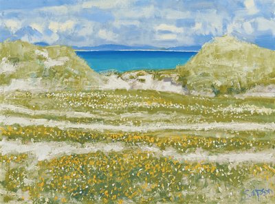 Glimpse of Harris, 2014 (öljy kankaalle) tekijältä Charles Simpson