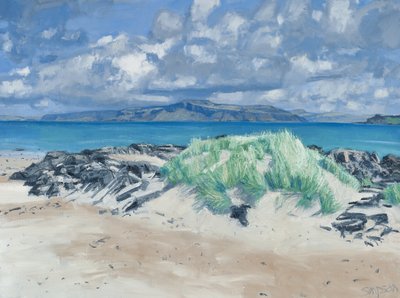 Rocks  Grasses, Iona, 2013 (öljy kankaalle) tekijältä Charles Simpson