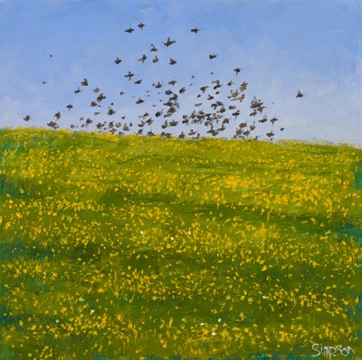 Starlings  Buttercups, Iona, 2015 (öljyä kankaalle) tekijältä Charles Simpson