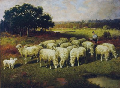 Paimen lampaineen pellolla, 1898 tekijältä Charles T. Phelan