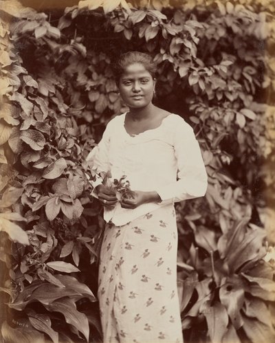 Singhalese tekijältä Charles T. Scowen