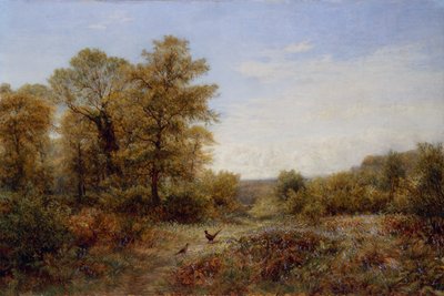  tekijältä Charles Thomas Burt